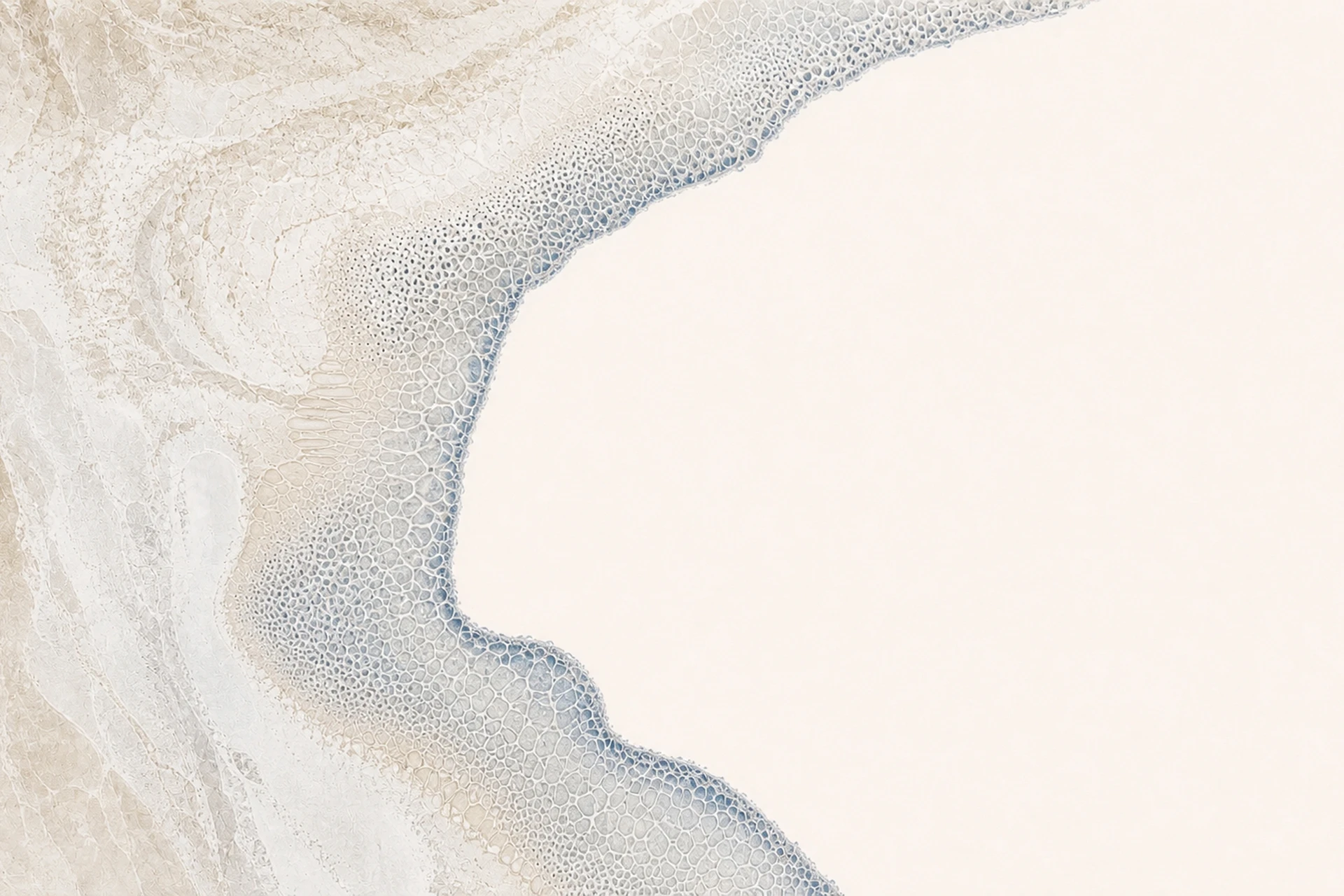 Pale, branching cellular textures curving around an open ivory field.